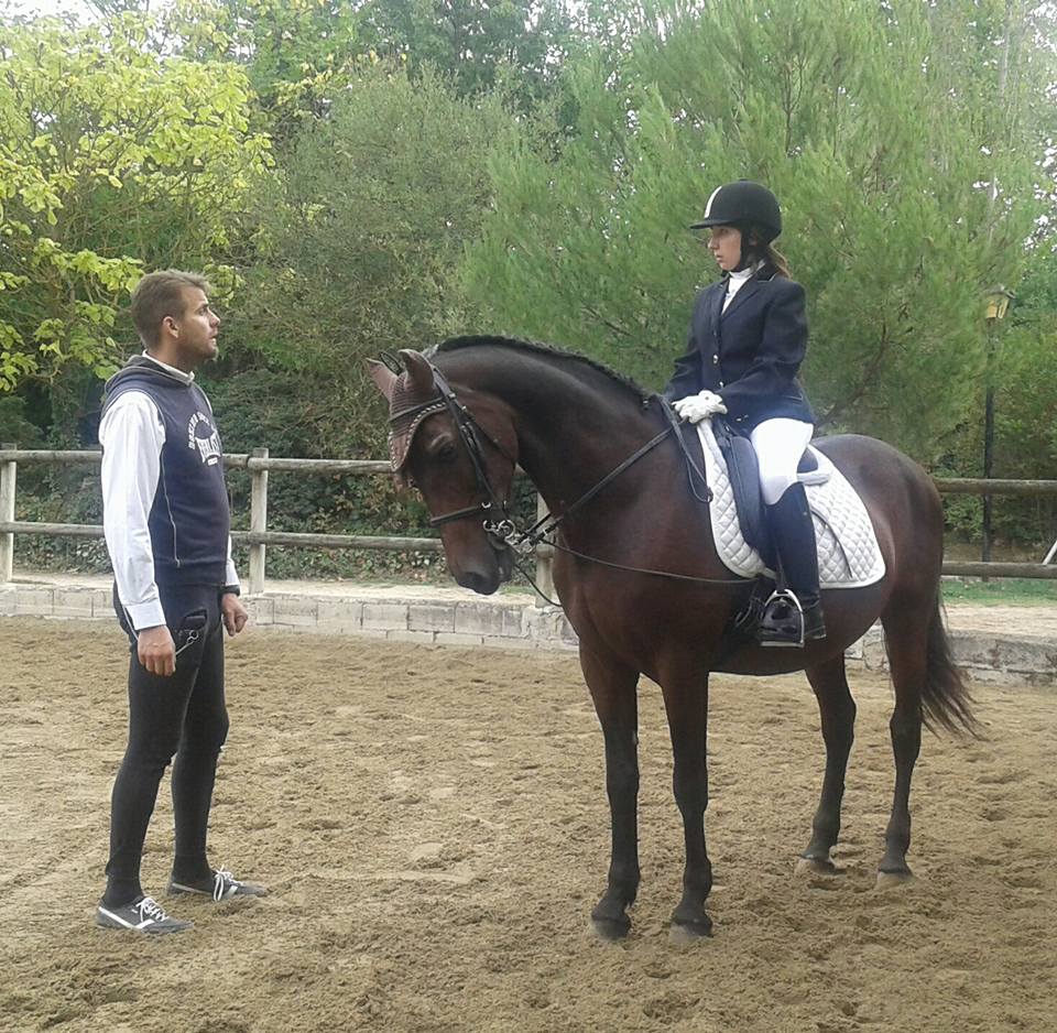 Final Campeonato Navarro Doma Paraecuestre 2016